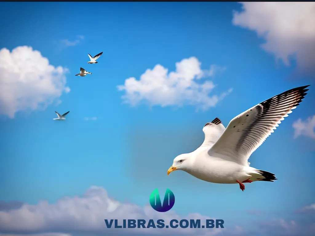 fernao capelo gaivota