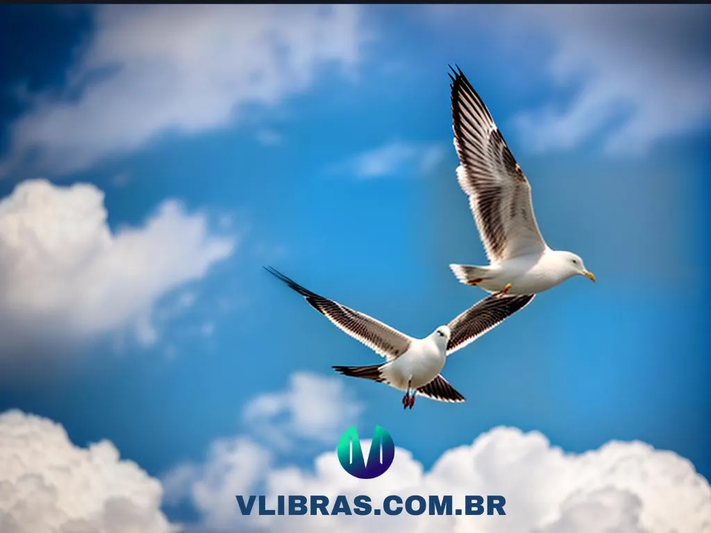 fernao capelo gaivota