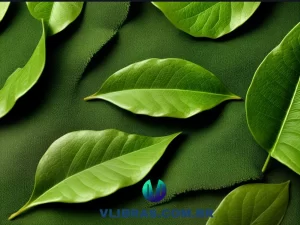 capa do post 10 Livros Essenciais de Biologia: Da Célula ao Ecossistema. com uma ilustração