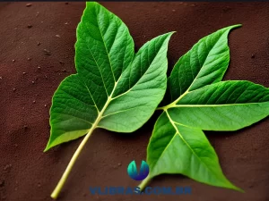 capa do post Os 10 Melhores Livros de Botânica Para Comprar em 2023 com uma ilustração