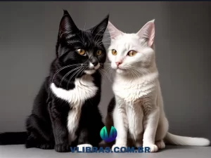 capa do post 10 Melhores Livros de Catromances para se Apaixonar com uma ilustração