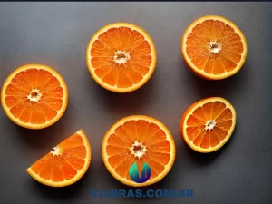 capa do post As 10 Melhores Obras para Aprender Mandarim e Viajar à China com uma ilustração