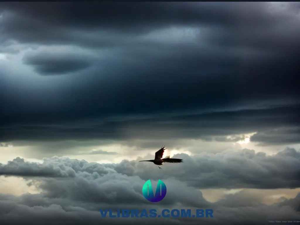 box caixa de passaros