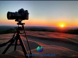 capa do post 15 Melhores Livros sobre Documentário para Expandir seu Conhecimento com uma ilustração