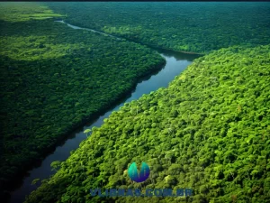 capa do post Os 10 Melhores Livros sobre Adriana Carranca para Comprar com uma ilustração