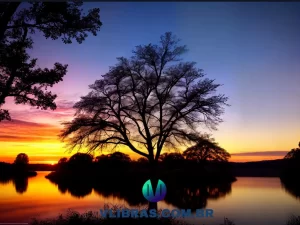 capa do post Desvendando os Ensinamentos de Hermógenes: Os Melhores Livros Recomendados com uma ilustração