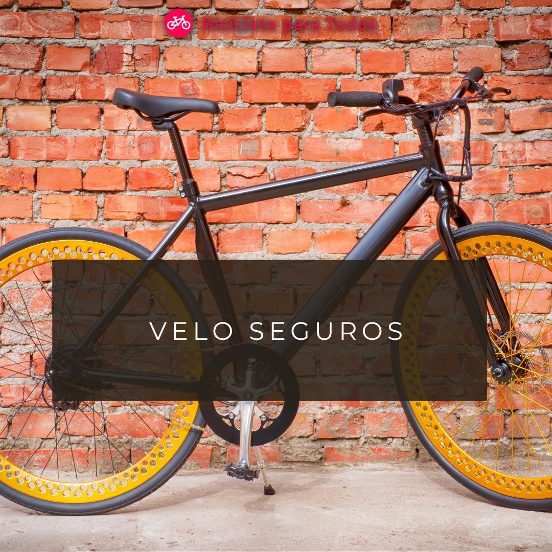 Confira a Velo Seguros antes de contratar uma empresa