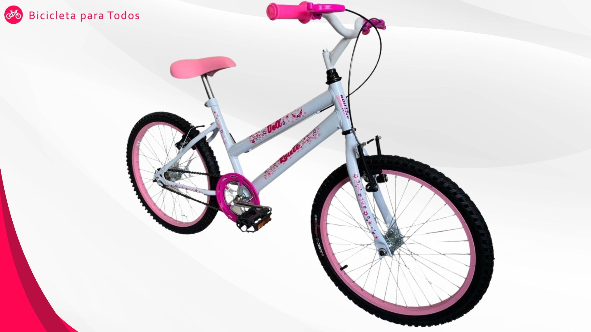 foto da bicicleta feminina