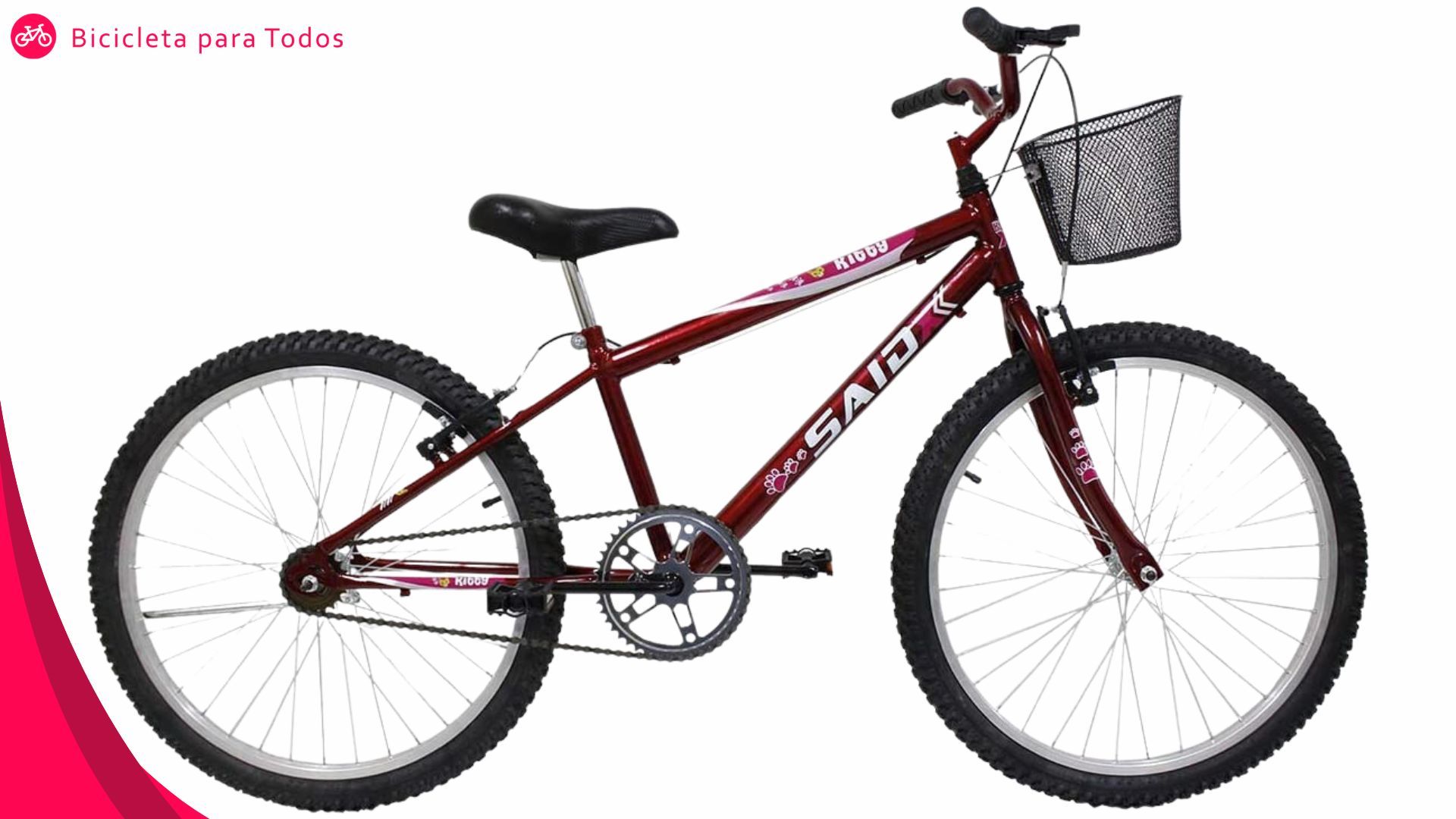 foto da saidx aro 24