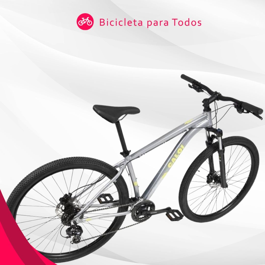 foto da caloi explorer