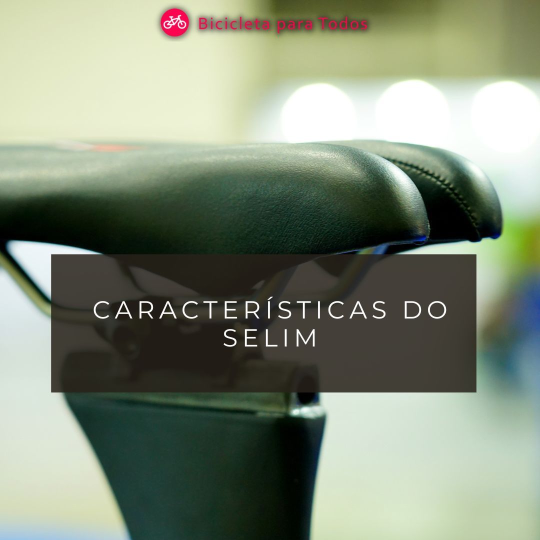 foto com legenda características do selim