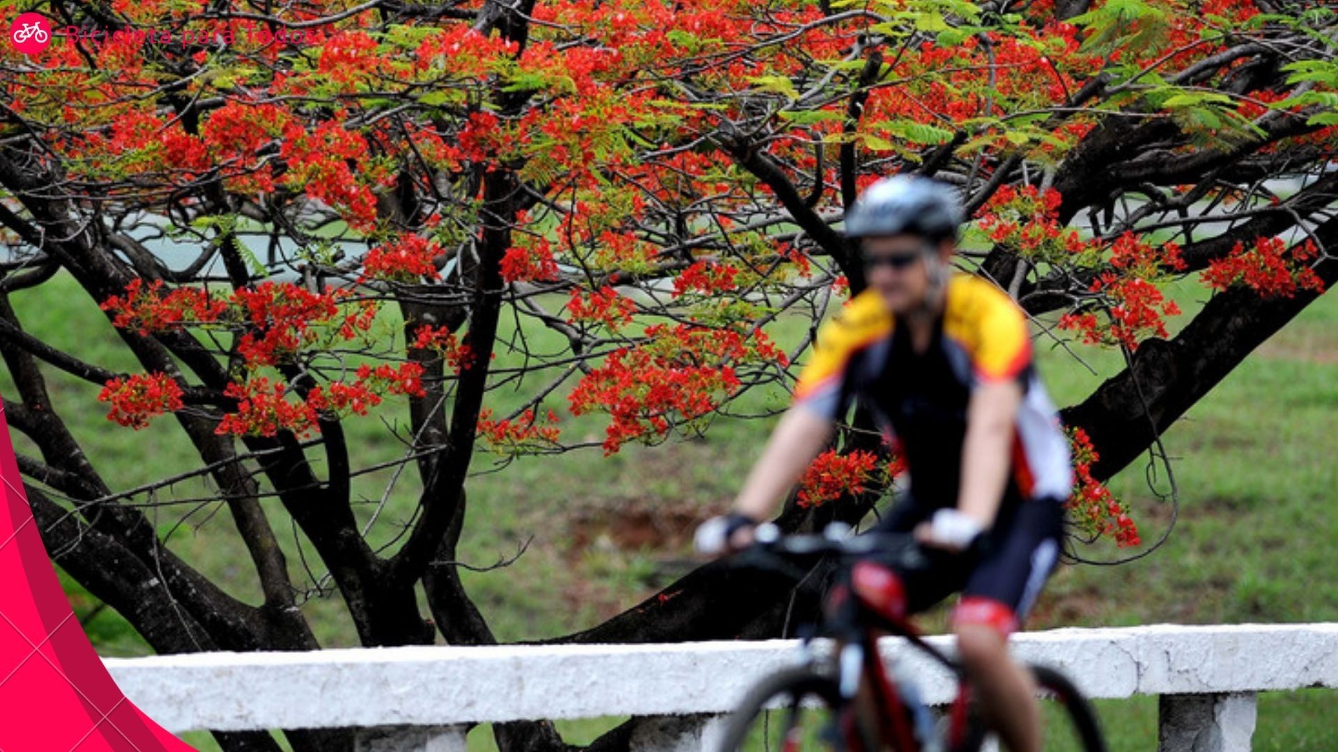 pedalar no eixão de brasília