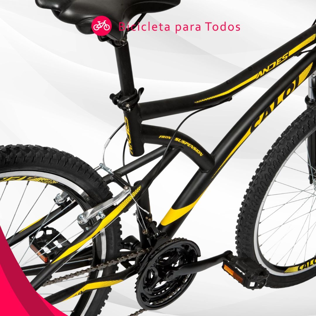 foto da trasmissão da caloi andes