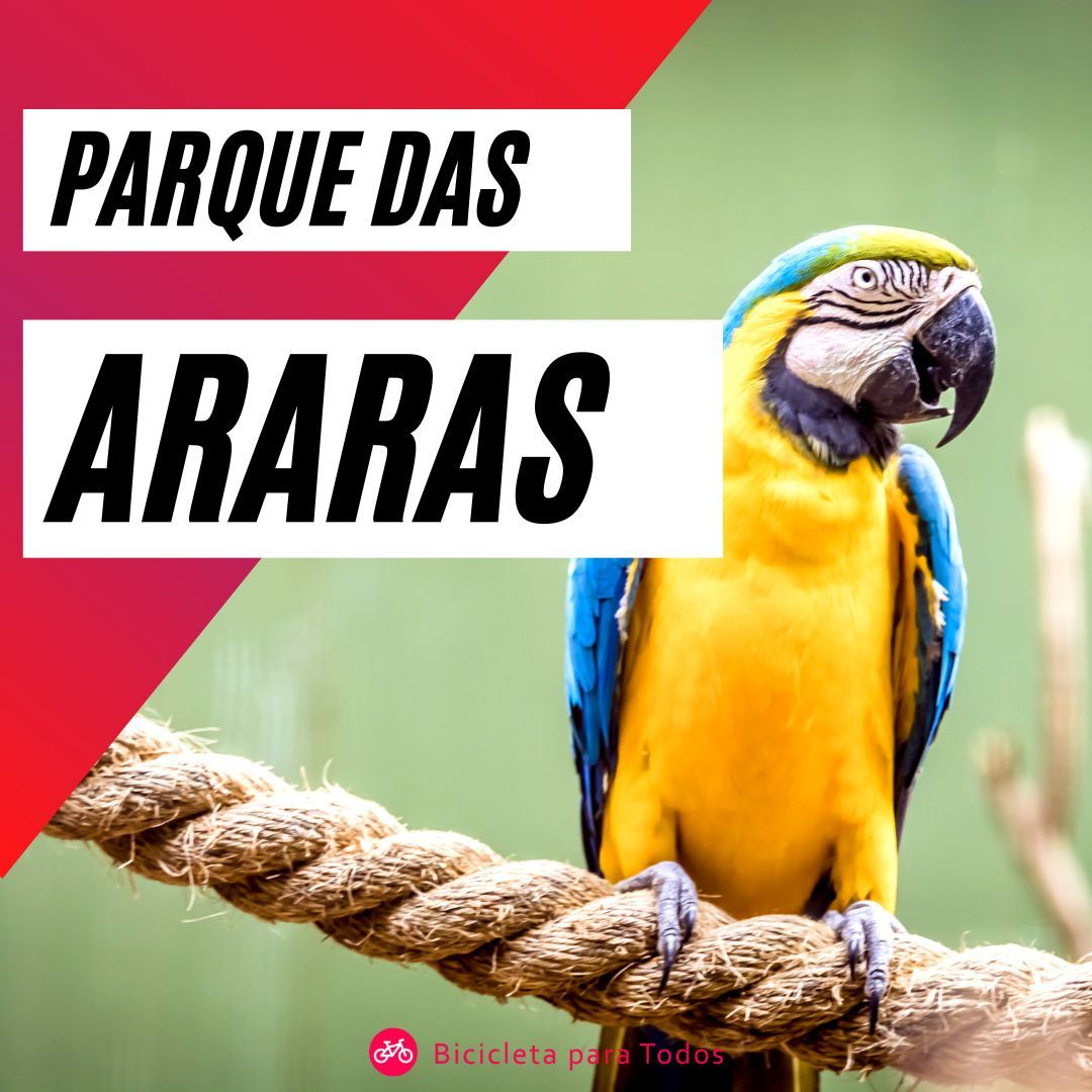 foto de arara azul e amarela em de pé em corda ocm legenda parque das araras