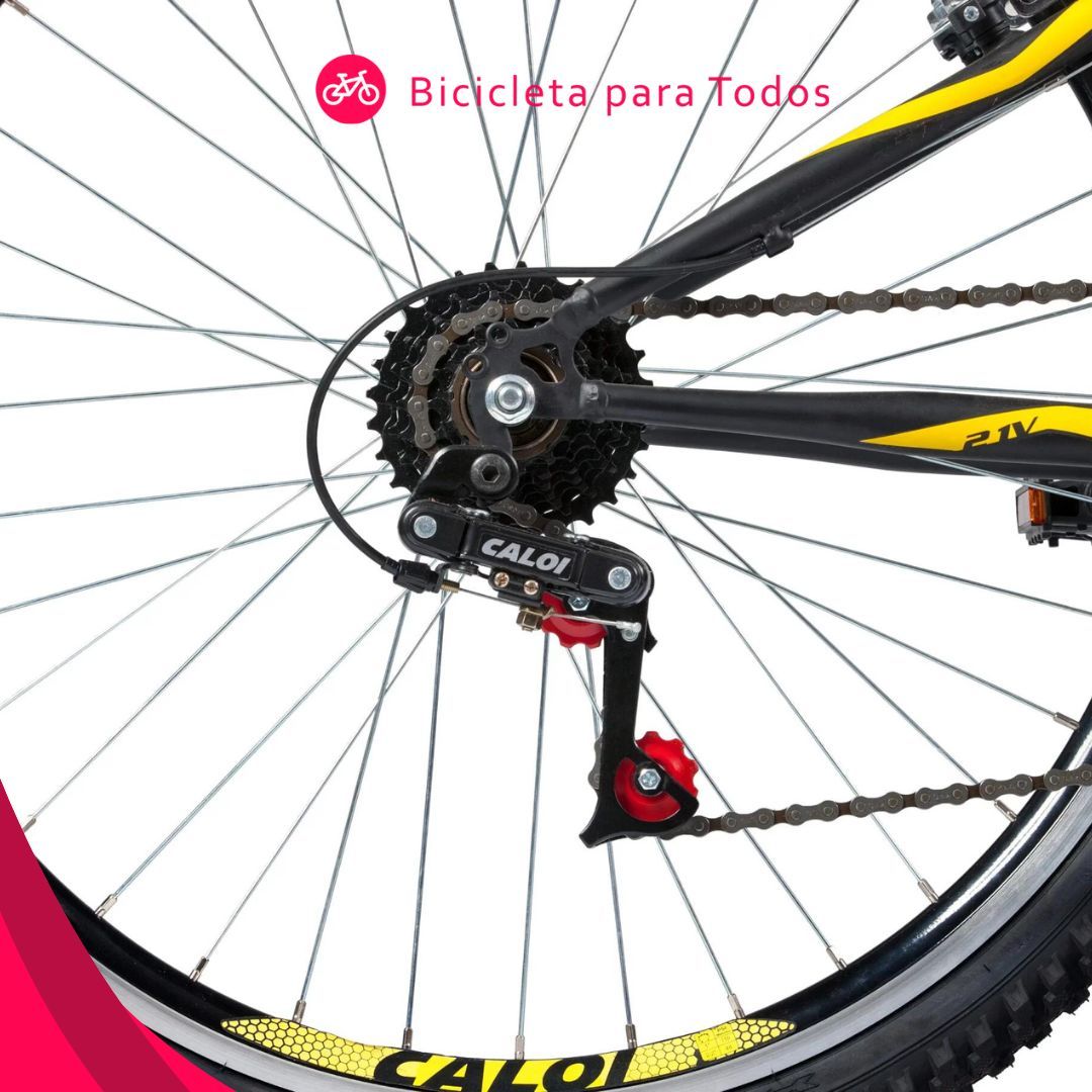 foto da roda da caloi andes