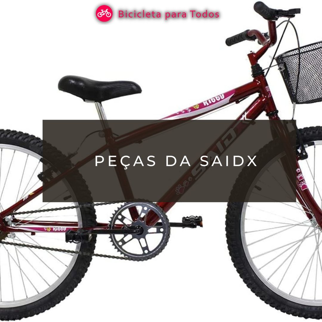 foto da bike com legenda peças da saidx
