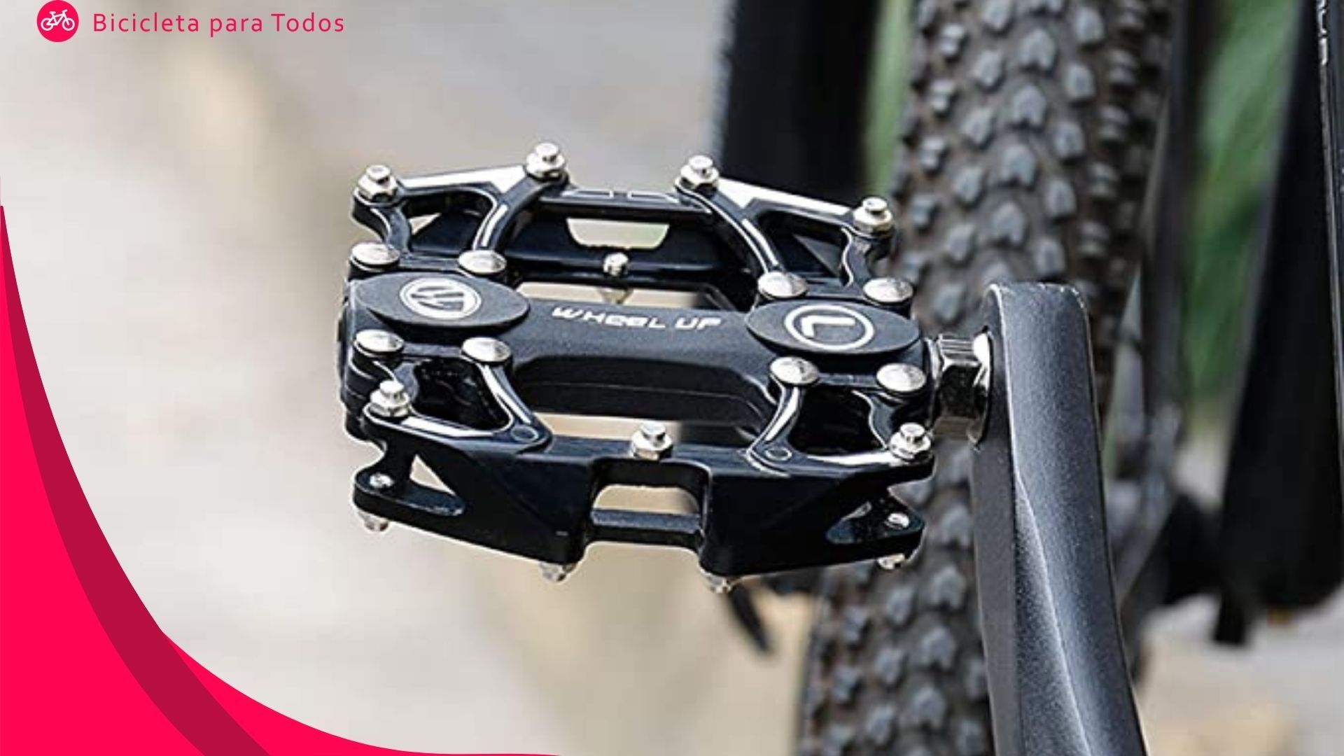 foto do pedal toshim