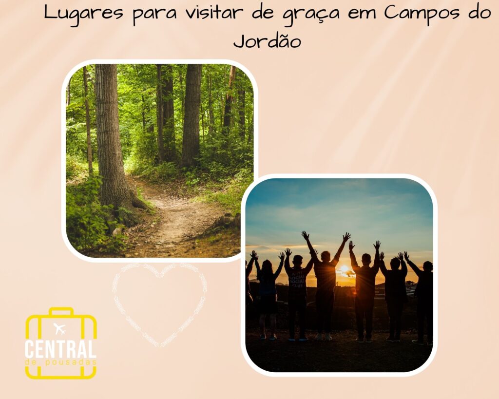 fundo rosa e uma foto acima de floresta e uma mais abaixo de pessoas reunidas