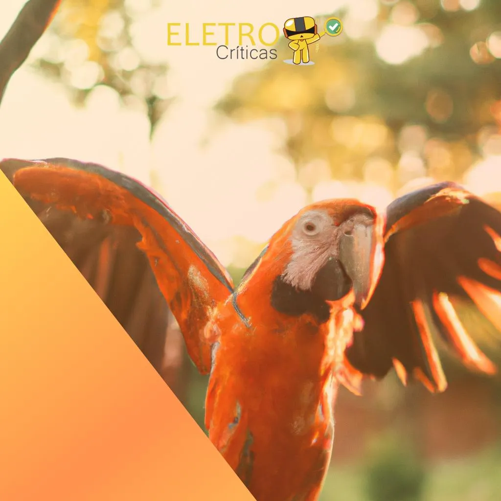 3242/top-10-melhores-araras-de-roupa-de-