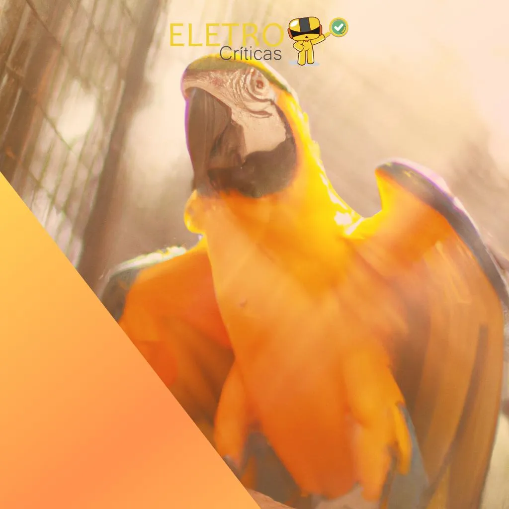 3242/top-10-melhores-araras-de-roupa-de-