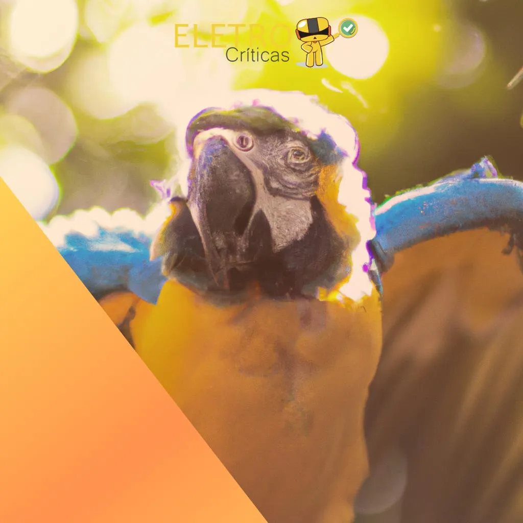 3242/top-10-melhores-araras-de-roupa-de-