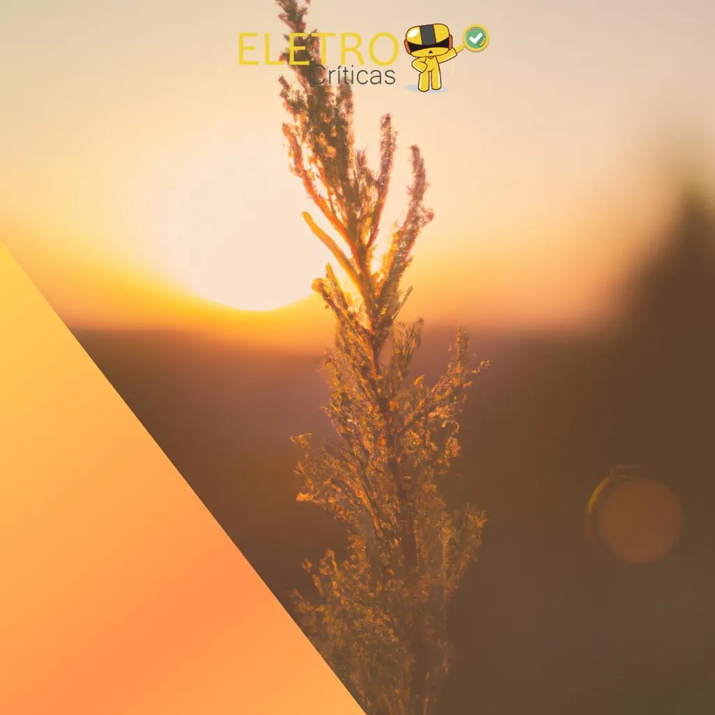 364/top-10-melhores-vitaminas-d3-de--puravida-essencial-sundown
