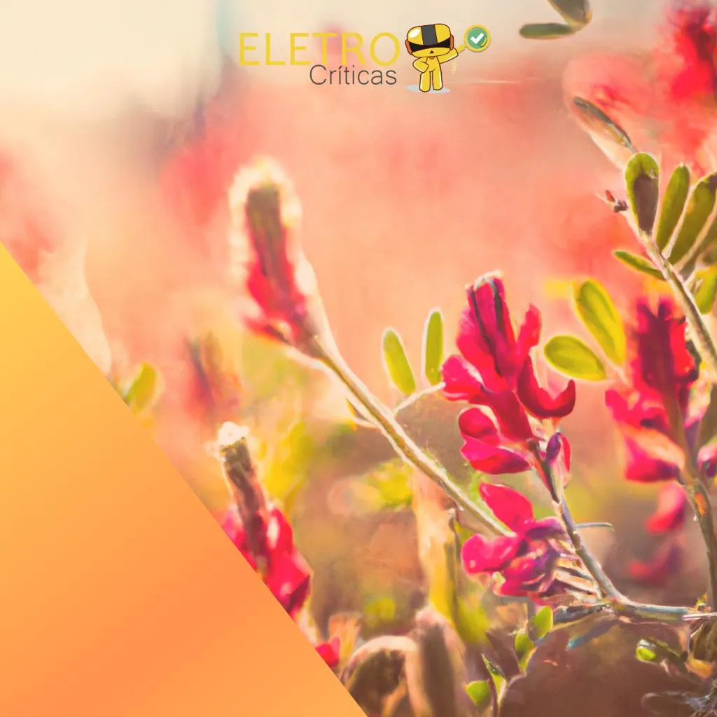 3743/top-6-melhores-astragalus-de-