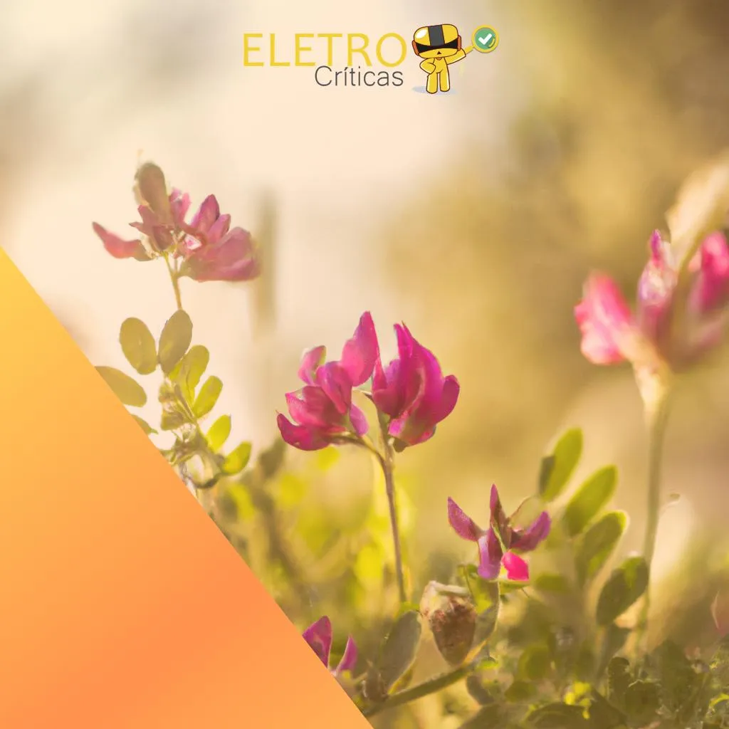  3743/top-6-melhores-astragalus-de-