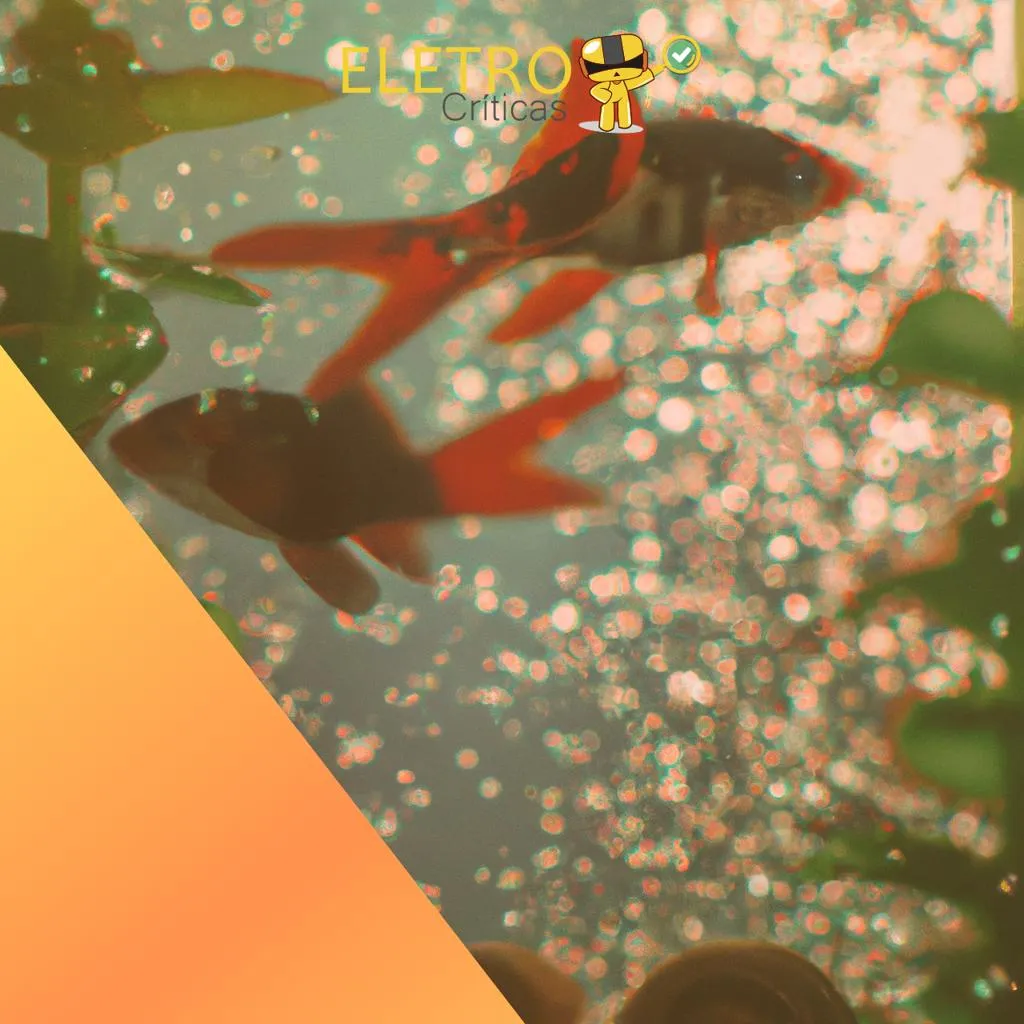 4256/top-10-melhores-enfeites-para-aquario-de-